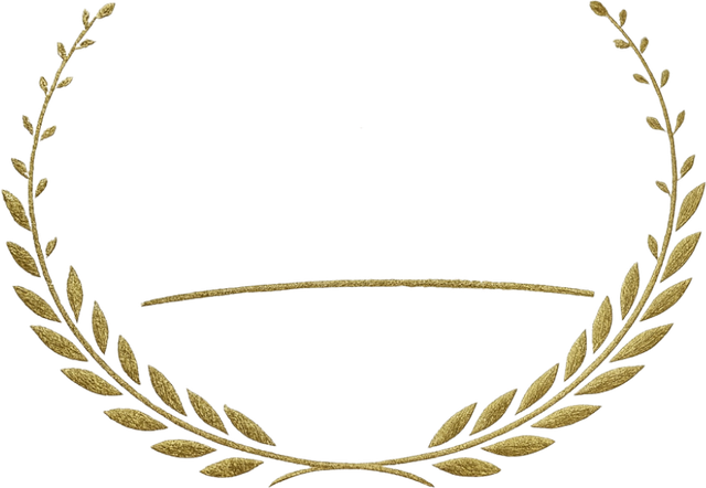 Olimpya Textil & Deco